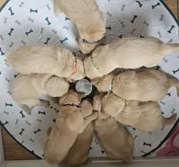 processed/f8591f7a-c59c-40bd-9cd2-77cdaa273c21/facility/a89e69ea-288a-43e9-8cf4-e4b67bf1b5df