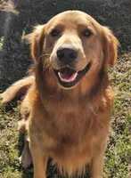 processed/f8591f7a-c59c-40bd-9cd2-77cdaa273c21/facility/b2266b81-317f-4249-a0a1-e88380c452a7