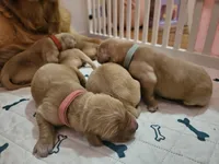 processed/f8591f7a-c59c-40bd-9cd2-77cdaa273c21/facility/e877ad24-8494-49b5-b384-55b087b03650