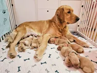 processed/f8591f7a-c59c-40bd-9cd2-77cdaa273c21/facility/f7ee418c-b45a-4521-aa5a-04290903f847