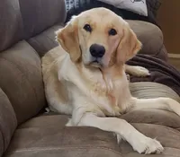 processed/f85a812a-3779-47f2-8d53-6b1cc7aa629d/listing/36f3f783-885e-450b-8766-2d1fe4e1bc9f/683e6ef5-27fb-4ceb-af79-72b75401d791