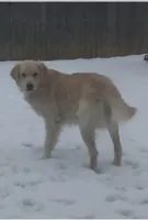 processed/f85a812a-3779-47f2-8d53-6b1cc7aa629d/listing/36f3f783-885e-450b-8766-2d1fe4e1bc9f/fe0c4cd5-a1d9-4400-b1a1-b962883988e3