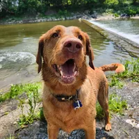 processed/f8600bf4-8666-413a-8837-c0b675fefc90/facility/086787f2-c2bf-47fb-91b7-792878ba5901