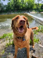 processed/f8600bf4-8666-413a-8837-c0b675fefc90/facility/086787f2-c2bf-47fb-91b7-792878ba5901