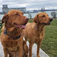 processed/f8600bf4-8666-413a-8837-c0b675fefc90/facility/655f119f-f3d1-4956-998f-ff40218c6e92