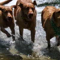 processed/f8600bf4-8666-413a-8837-c0b675fefc90/facility/6e6d6c2b-2f68-4833-a360-37c8d61d2cef