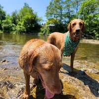 processed/f8600bf4-8666-413a-8837-c0b675fefc90/facility/91034664-3b53-49b5-85b3-e630b4a41725