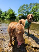 processed/f8600bf4-8666-413a-8837-c0b675fefc90/facility/91034664-3b53-49b5-85b3-e630b4a41725