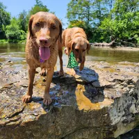 processed/f8600bf4-8666-413a-8837-c0b675fefc90/facility/999cf8a5-2ddf-4a15-884a-5107eab8b9d7