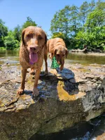 processed/f8600bf4-8666-413a-8837-c0b675fefc90/facility/999cf8a5-2ddf-4a15-884a-5107eab8b9d7