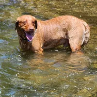 processed/f8600bf4-8666-413a-8837-c0b675fefc90/facility/ac84a3ed-81cc-4de9-a462-d8229c9a0f98