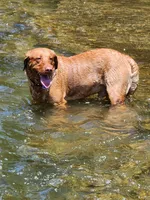 processed/f8600bf4-8666-413a-8837-c0b675fefc90/facility/ac84a3ed-81cc-4de9-a462-d8229c9a0f98