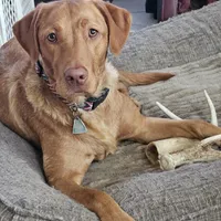 processed/f8600bf4-8666-413a-8837-c0b675fefc90/facility/ca60e38e-70cf-43dd-8347-026b692a20f6