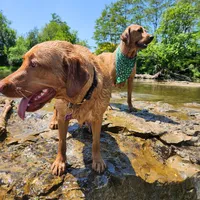 processed/f8600bf4-8666-413a-8837-c0b675fefc90/facility/e429a53a-0a14-40cf-b601-40cf498302fc