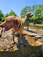 processed/f8600bf4-8666-413a-8837-c0b675fefc90/facility/e429a53a-0a14-40cf-b601-40cf498302fc