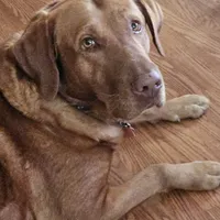 processed/f8600bf4-8666-413a-8837-c0b675fefc90/facility/f49160ae-f5cc-4e72-9652-213f7b16cf9c