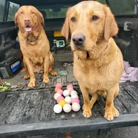 processed/f8600bf4-8666-413a-8837-c0b675fefc90/facility/fa50d78e-26f4-465c-82ac-186605d1f490