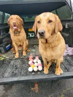 processed/f8600bf4-8666-413a-8837-c0b675fefc90/facility/fa50d78e-26f4-465c-82ac-186605d1f490