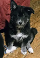 processed/f863ff5c-984b-42ae-b385-1eb534f7170a/listing/8b062be9-5b18-42a9-831f-58b8dba9be9c/efaf379e-1414-4e1e-b626-ee20c53d5e93