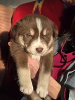 processed/f863ff5c-984b-42ae-b385-1eb534f7170a/listing/b5a9b41f-d3d9-48b3-82d2-e58a59634359/31071a1b-6554-4c1b-8cc3-4a142f275f78