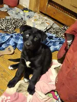 processed/f863ff5c-984b-42ae-b385-1eb534f7170a/listing/e58f836d-a942-4d40-9889-ed4fc9011305/065b7a90-0792-4e00-8b00-99e4dfcf09ea