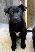 processed/f863ff5c-984b-42ae-b385-1eb534f7170a/listing/e58f836d-a942-4d40-9889-ed4fc9011305/6a2651b8-ee9e-421f-b12d-3731c4752b6d