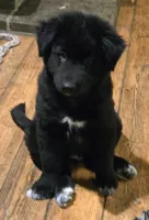 processed/f863ff5c-984b-42ae-b385-1eb534f7170a/listing/f30401eb-c6ca-4edc-8d84-4834bfc0d86b/a1dfab18-5ff9-4967-88b4-bca18a0bade8