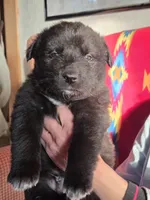 processed/f863ff5c-984b-42ae-b385-1eb534f7170a/listing/f30401eb-c6ca-4edc-8d84-4834bfc0d86b/c692d745-3120-4fbe-9957-053df66d56ac