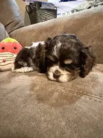 processed/f8668b5a-b950-4c34-b3e6-77f4755ad3ad/listing/2adccbb3-959b-4afd-9338-288a5beb24a7/2f9974b1-deeb-43c1-a283-cce42593dad7