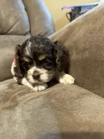 processed/f8668b5a-b950-4c34-b3e6-77f4755ad3ad/listing/2adccbb3-959b-4afd-9338-288a5beb24a7/7448c00e-c625-47a4-9f19-a58047708b57