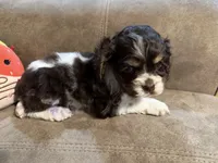 processed/f8668b5a-b950-4c34-b3e6-77f4755ad3ad/listing/2adccbb3-959b-4afd-9338-288a5beb24a7/caa7f3b1-78d7-4b3a-9d26-6143a2858a3a