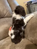 processed/f8668b5a-b950-4c34-b3e6-77f4755ad3ad/listing/2adccbb3-959b-4afd-9338-288a5beb24a7/cfda153f-b476-4b88-9db0-43e23c9344ef