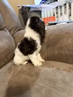 processed/f8668b5a-b950-4c34-b3e6-77f4755ad3ad/listing/870cdabf-2ce6-4eeb-91df-29372a4db18f/2e3cbffb-e436-4d19-b634-6533a724ee8f