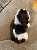 processed/f8668b5a-b950-4c34-b3e6-77f4755ad3ad/listing/870cdabf-2ce6-4eeb-91df-29372a4db18f/7b609abe-47a6-47ae-9812-b4d939cd9ada