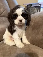 processed/f8668b5a-b950-4c34-b3e6-77f4755ad3ad/listing/870cdabf-2ce6-4eeb-91df-29372a4db18f/e7f5c1f5-324b-4af9-a07a-bf01f6cef6ae