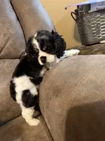 processed/f8668b5a-b950-4c34-b3e6-77f4755ad3ad/listing/9b00df40-e6e2-4db5-9507-be8b1a964bb4/106c2cfe-f343-4e9e-bb06-5d575b334772