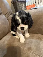 processed/f8668b5a-b950-4c34-b3e6-77f4755ad3ad/listing/9b00df40-e6e2-4db5-9507-be8b1a964bb4/ac42dfa2-da9e-4f96-be40-74e88dc155c1