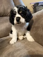 processed/f8668b5a-b950-4c34-b3e6-77f4755ad3ad/listing/9b00df40-e6e2-4db5-9507-be8b1a964bb4/e25c24e4-4da9-47dd-bbda-23acd23f55ea