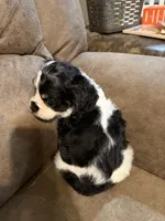 processed/f8668b5a-b950-4c34-b3e6-77f4755ad3ad/listing/9b00df40-e6e2-4db5-9507-be8b1a964bb4/edfb6507-4d14-44a1-9a50-f816f48fc6c0