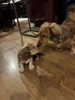 processed/f86cbe21-e333-427d-b83f-5023281508d6/facility/0d55fa08-c9ad-402d-ab38-e9350fc9912b