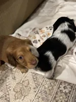 processed/f86cbe21-e333-427d-b83f-5023281508d6/facility/278e397e-14a2-4e1d-bafa-7f0e475554b5