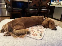 processed/f86cbe21-e333-427d-b83f-5023281508d6/facility/3702649f-73e2-4b81-8c7e-8a2c097595e8