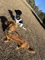 processed/f86cbe21-e333-427d-b83f-5023281508d6/facility/5303e0ee-2567-4eee-b87a-30fea8657ae6