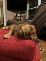 processed/f86cbe21-e333-427d-b83f-5023281508d6/facility/532eb9d3-acdf-4dad-a57a-90bf2b5f0543