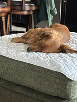 processed/f86cbe21-e333-427d-b83f-5023281508d6/facility/5fd98130-bd82-4f8f-a214-df8af5152c7c