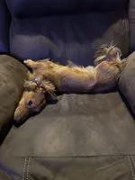 processed/f86cbe21-e333-427d-b83f-5023281508d6/facility/be679f61-ffbf-486a-9f44-6ea7827e0aa8