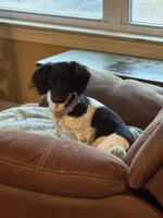 processed/f86cbe21-e333-427d-b83f-5023281508d6/facility/cb2fe906-1f2d-4c2c-a831-e42c7e984a8a