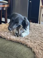 processed/f86cbe21-e333-427d-b83f-5023281508d6/facility/f567b4b5-f4be-4032-a95a-7cd2096d69fd