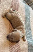 processed/f86cbe21-e333-427d-b83f-5023281508d6/listing/2537c33e-211f-4f8a-a83c-472f17d870c1/3386f323-38be-4a97-8347-43bc2290449f