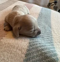 processed/f86cbe21-e333-427d-b83f-5023281508d6/listing/2537c33e-211f-4f8a-a83c-472f17d870c1/4948a382-0eb4-4632-9229-88f7f9687182